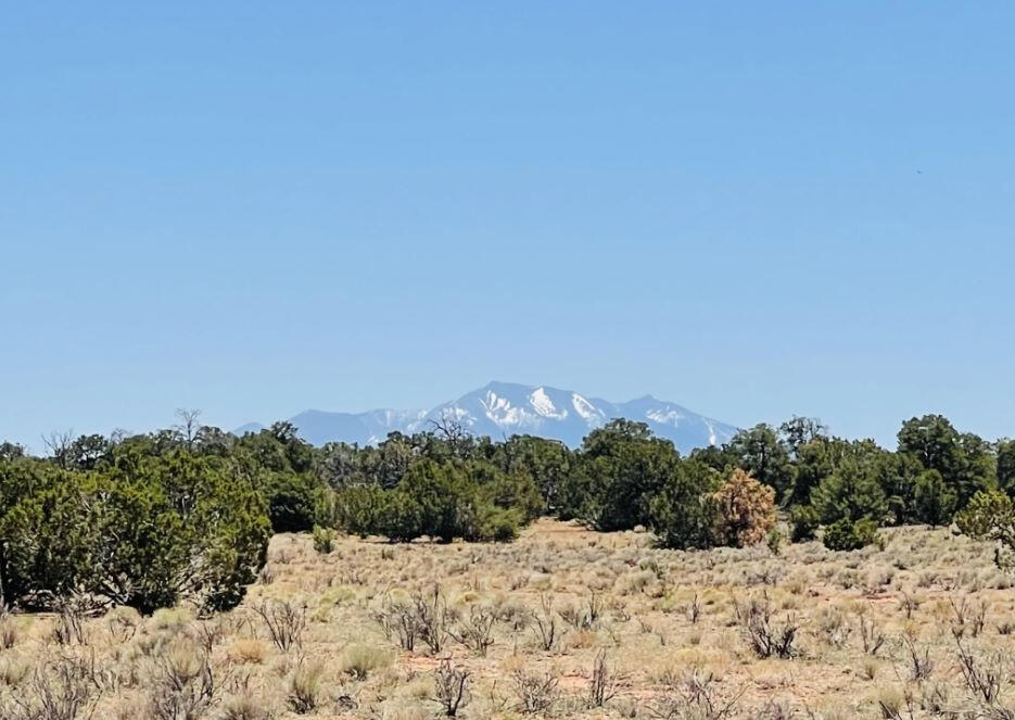 North of 180 - 3515 Picacho Wy, Williams, AZ 86046, USA