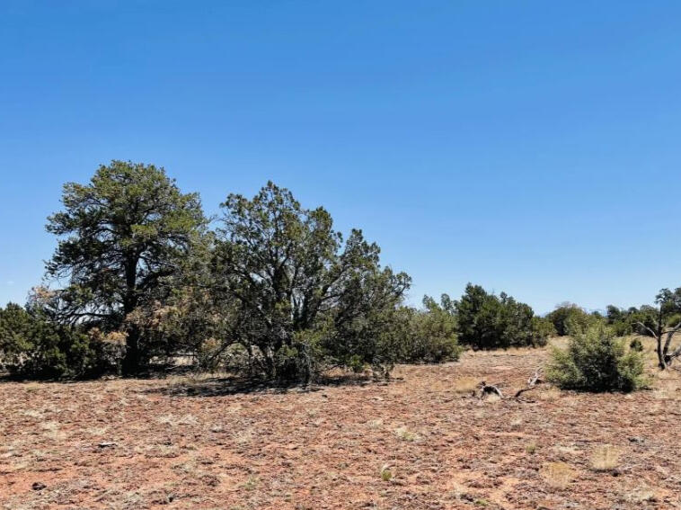 North of 180 - 3515 Picacho Wy, Williams, AZ 86046, USA